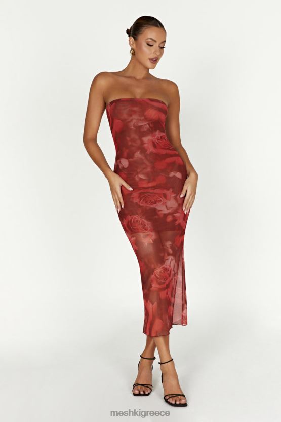 Meshki Aphrodite Strapless Mesh Dress Oversized Rose Print Clothing JJN40N111