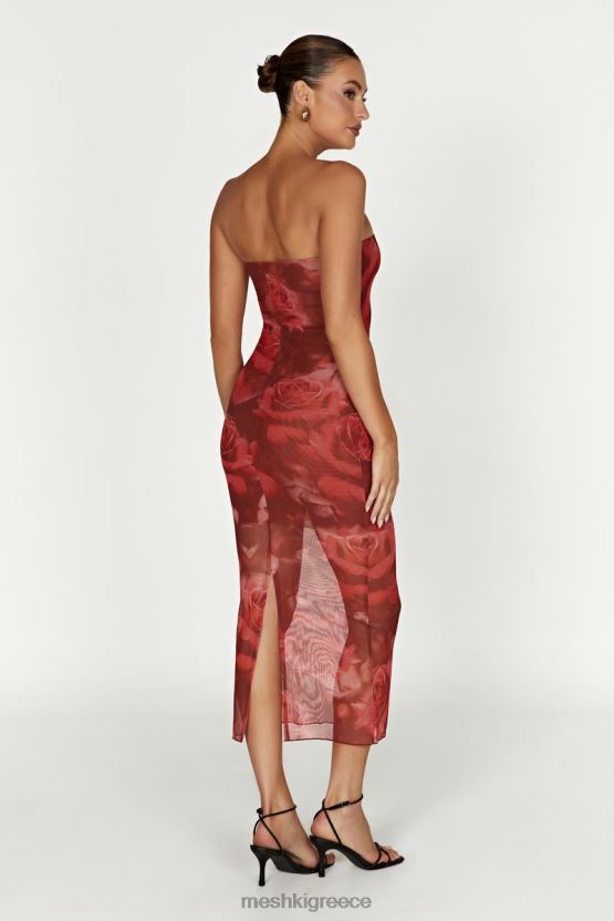 Meshki Aphrodite Strapless Mesh Dress Oversized Rose Print Clothing JJN40N111