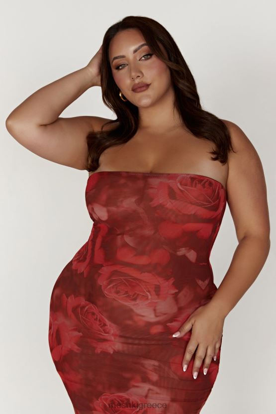 Meshki Aphrodite Strapless Mesh Dress Oversized Rose Print Clothing JJN40N111